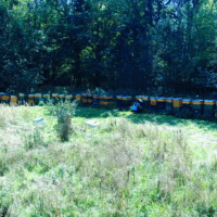 Stanoviště včelstev