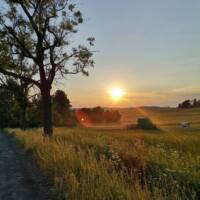 Naše příroda kolem nás